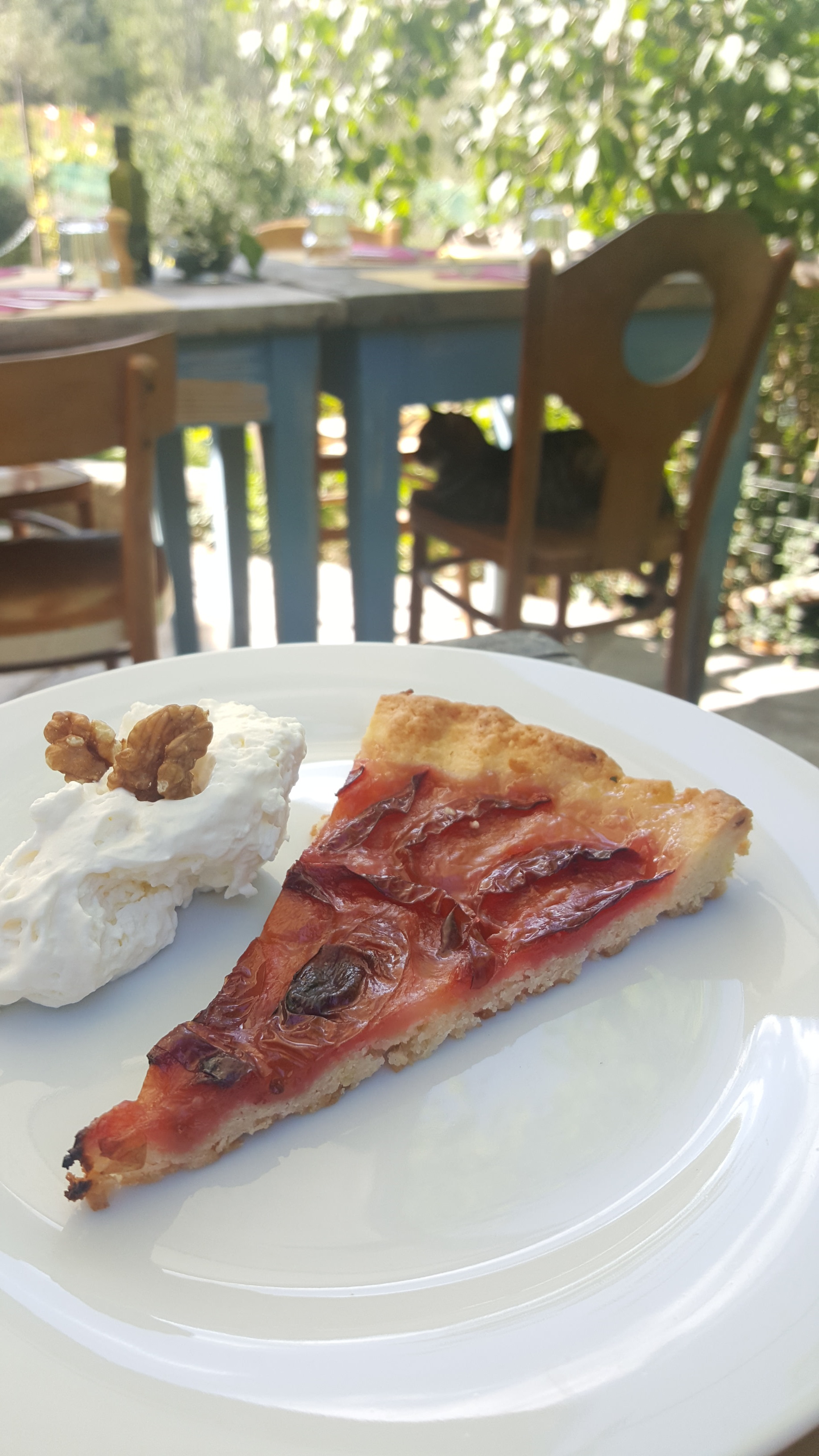 Unfortunately, there were no scraps for Nocciolina, the 18-year old cat in the background. The walnuts on the cream come from the surrounding trees on the agriturismo.