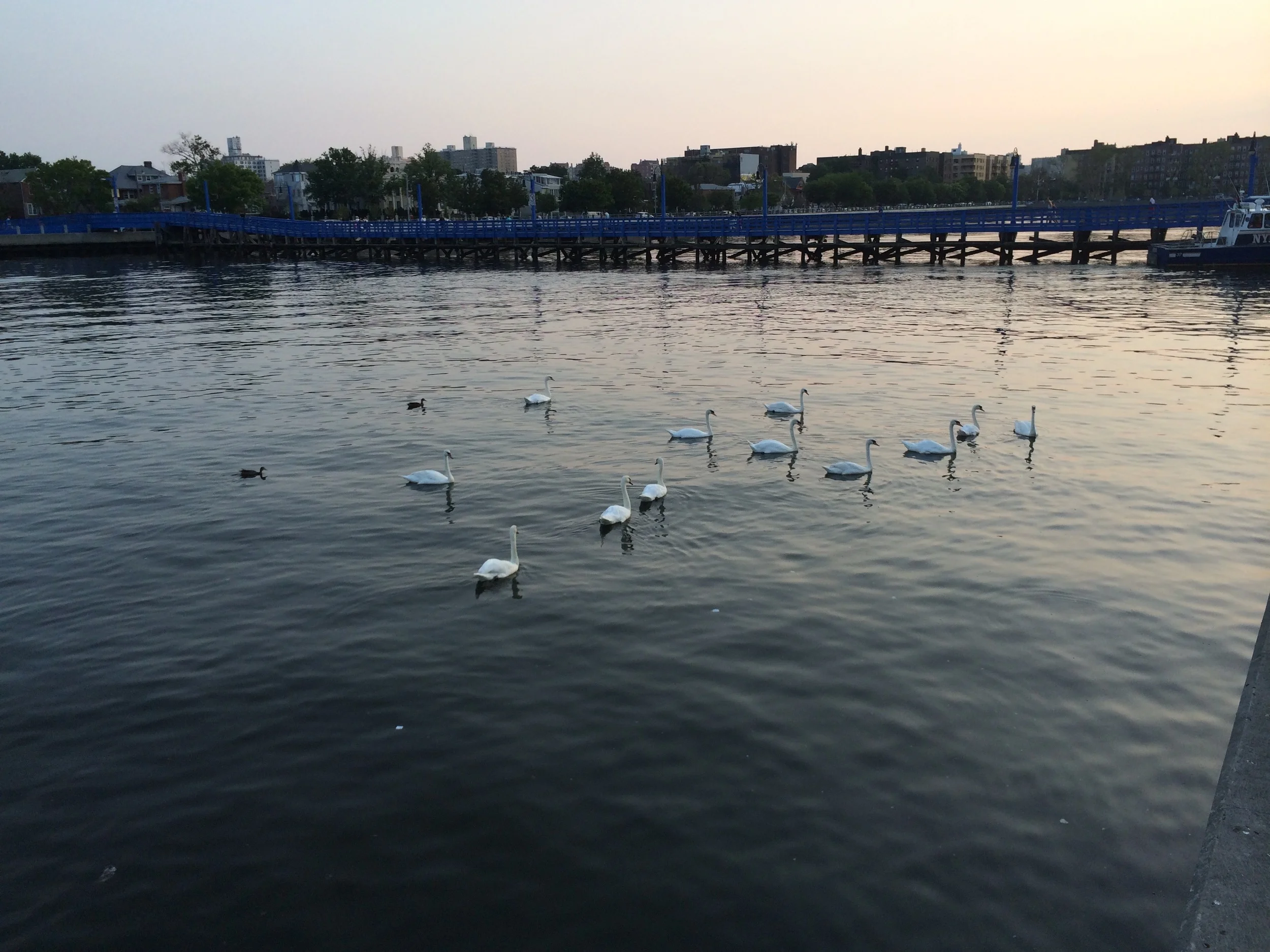 IMG_2443.jpg