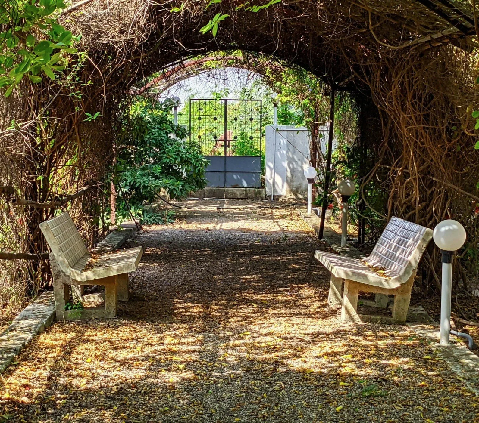Two benches face each other under a stone arch covered in ivy, making a quiet place for therapy for post-traumatic growth.