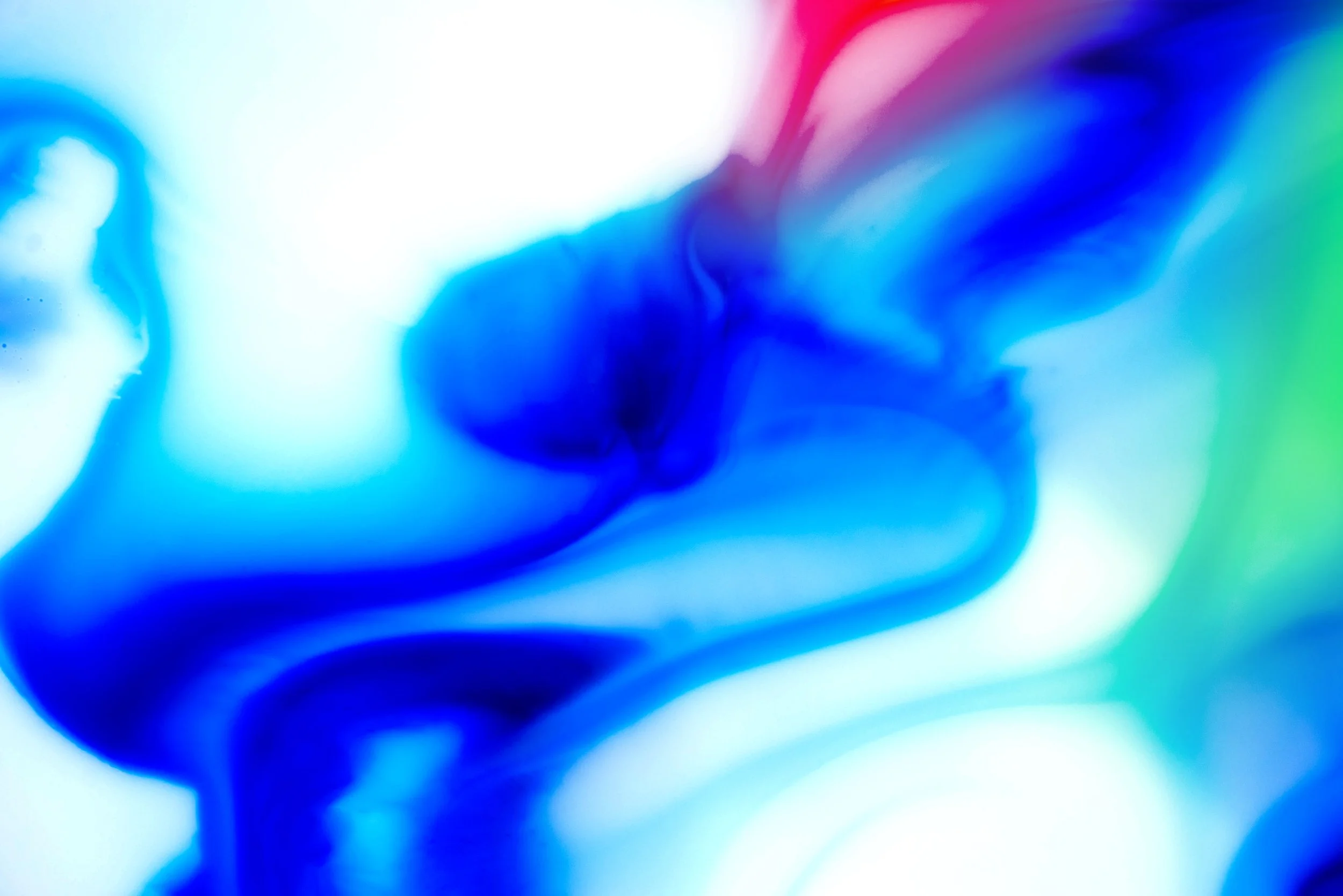 DSC_3096-tricolor.jpg