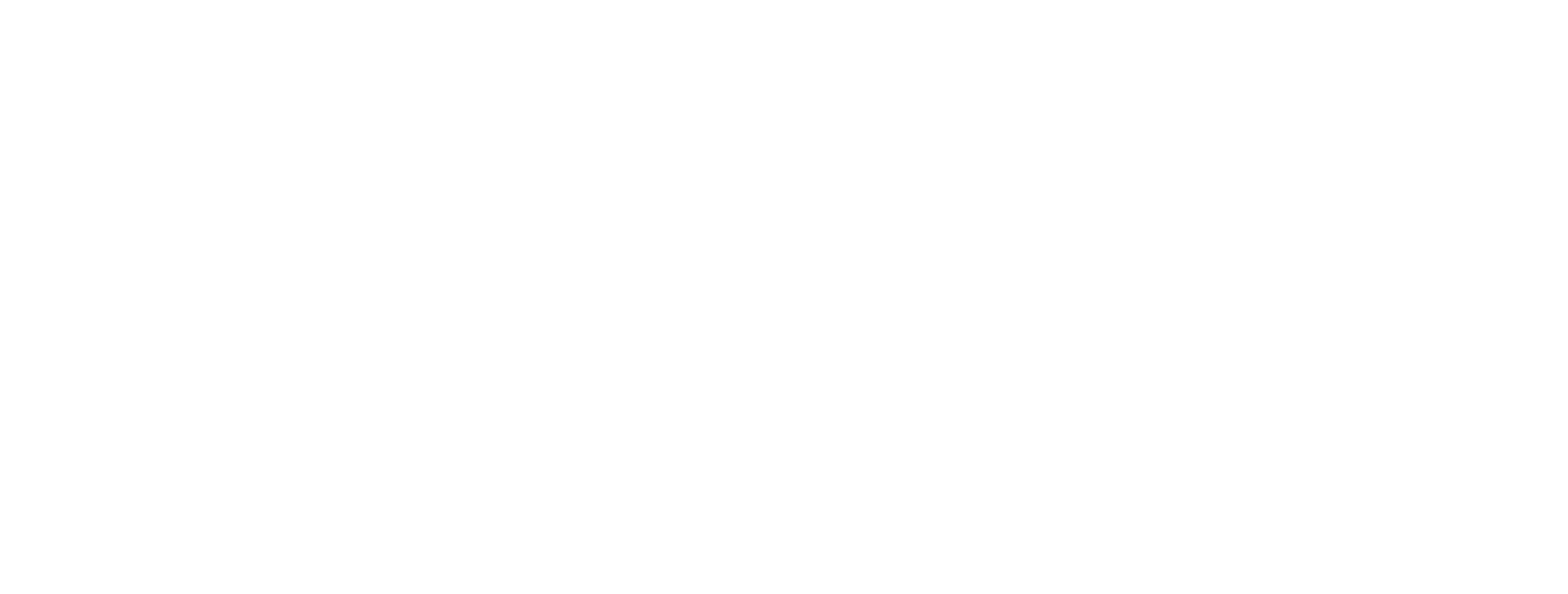 White Logo.png