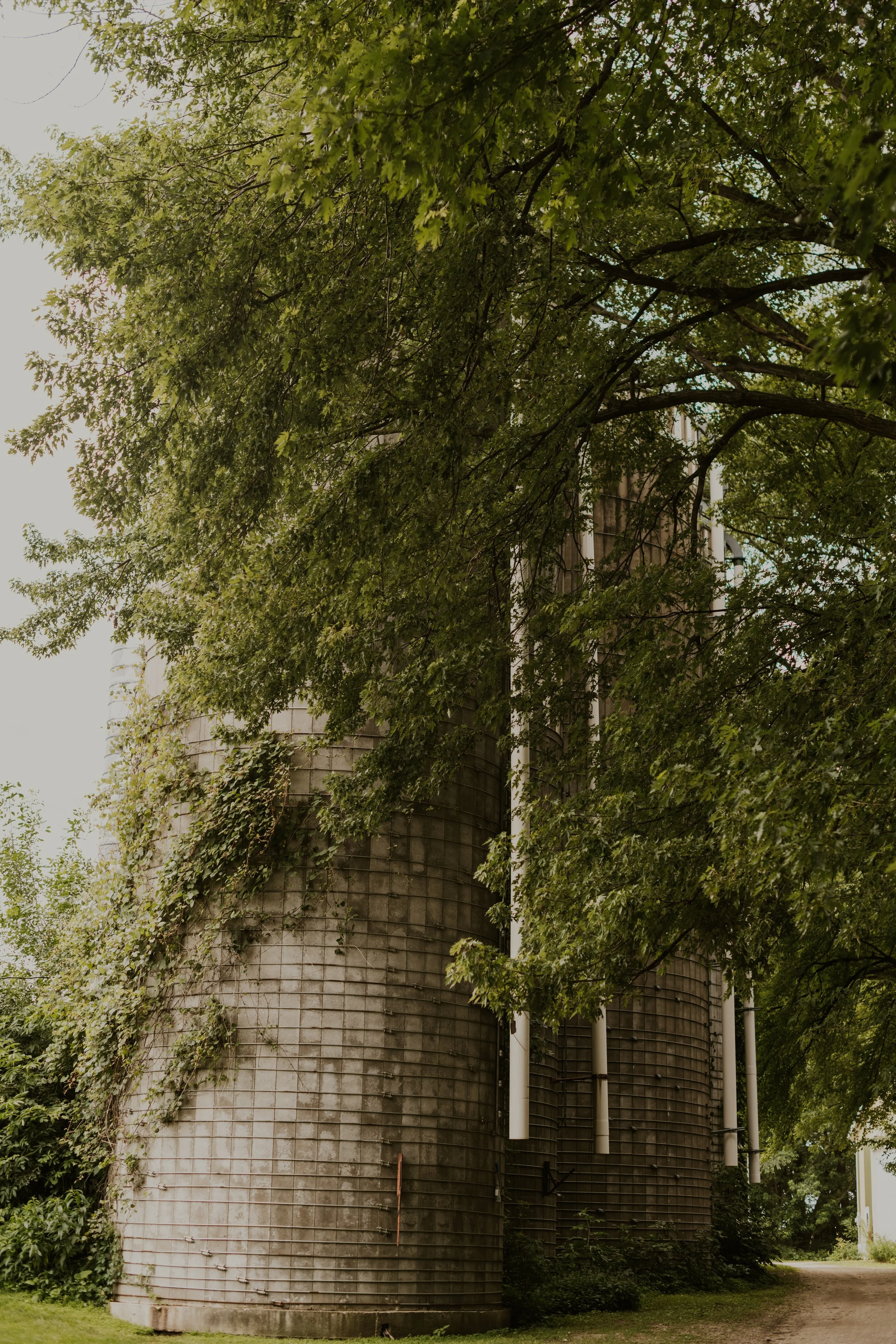 wooded venue in mn