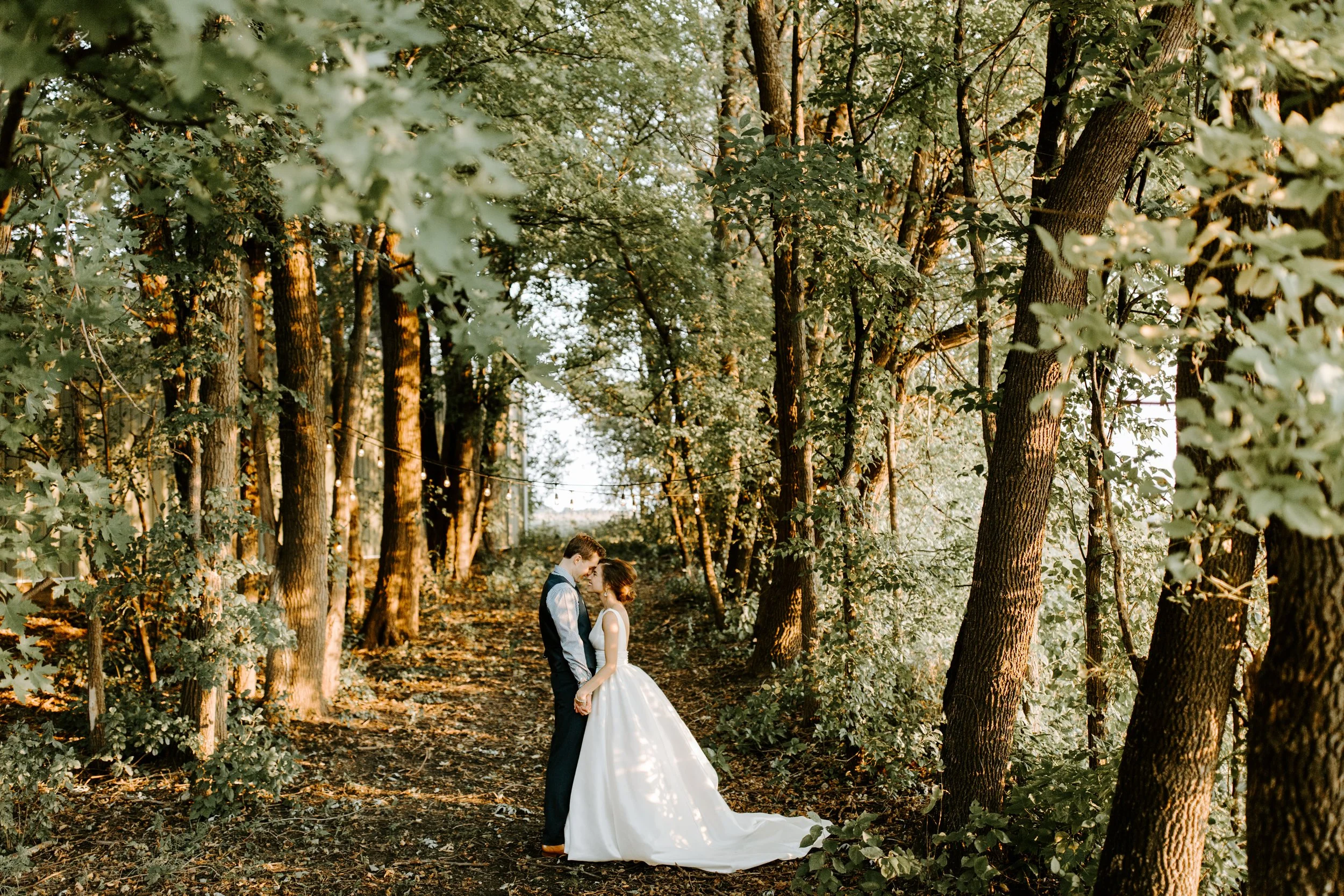 MN Wedding Venue with wooded spaces and outdoor cafe lights