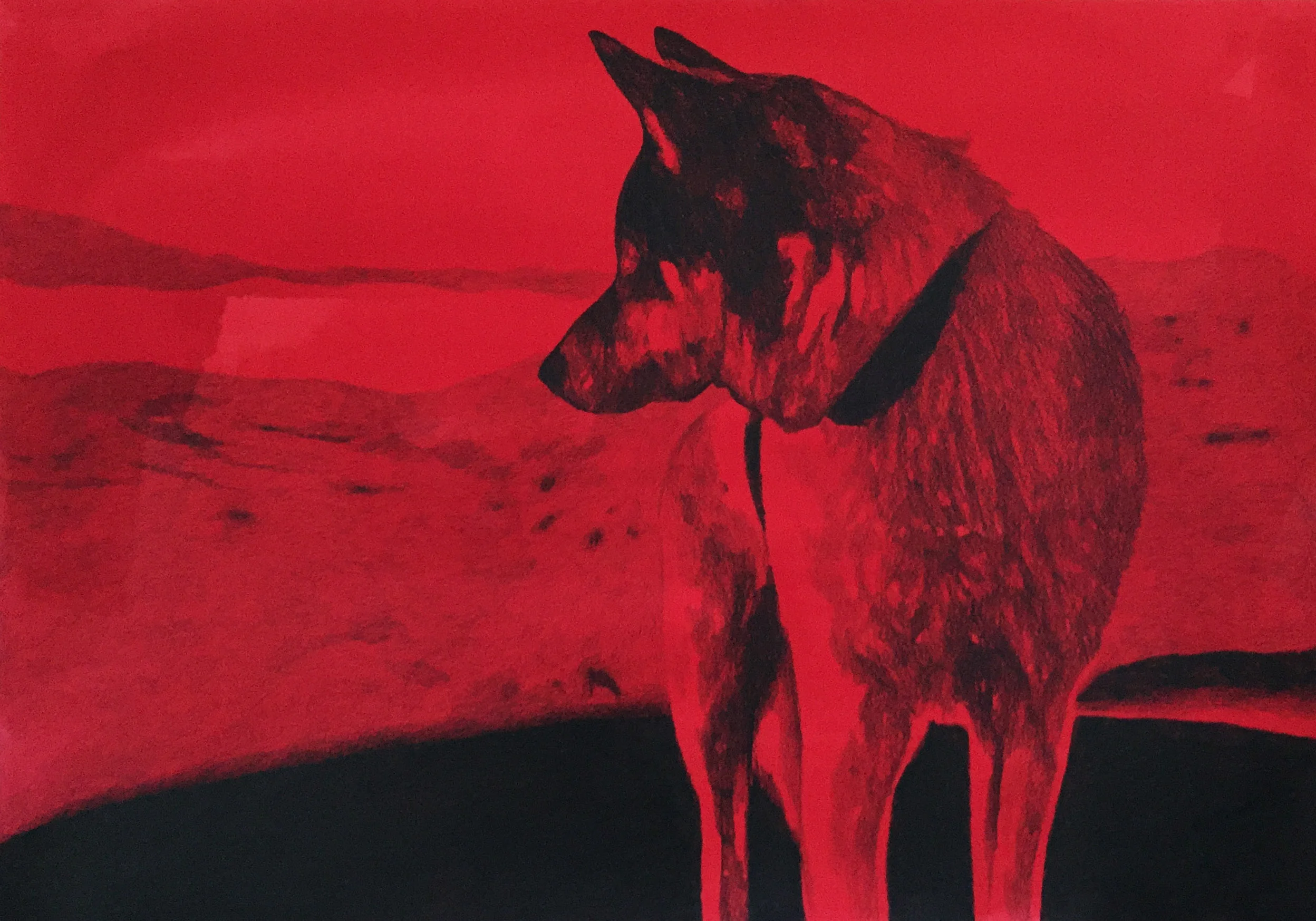 repenser la lumière