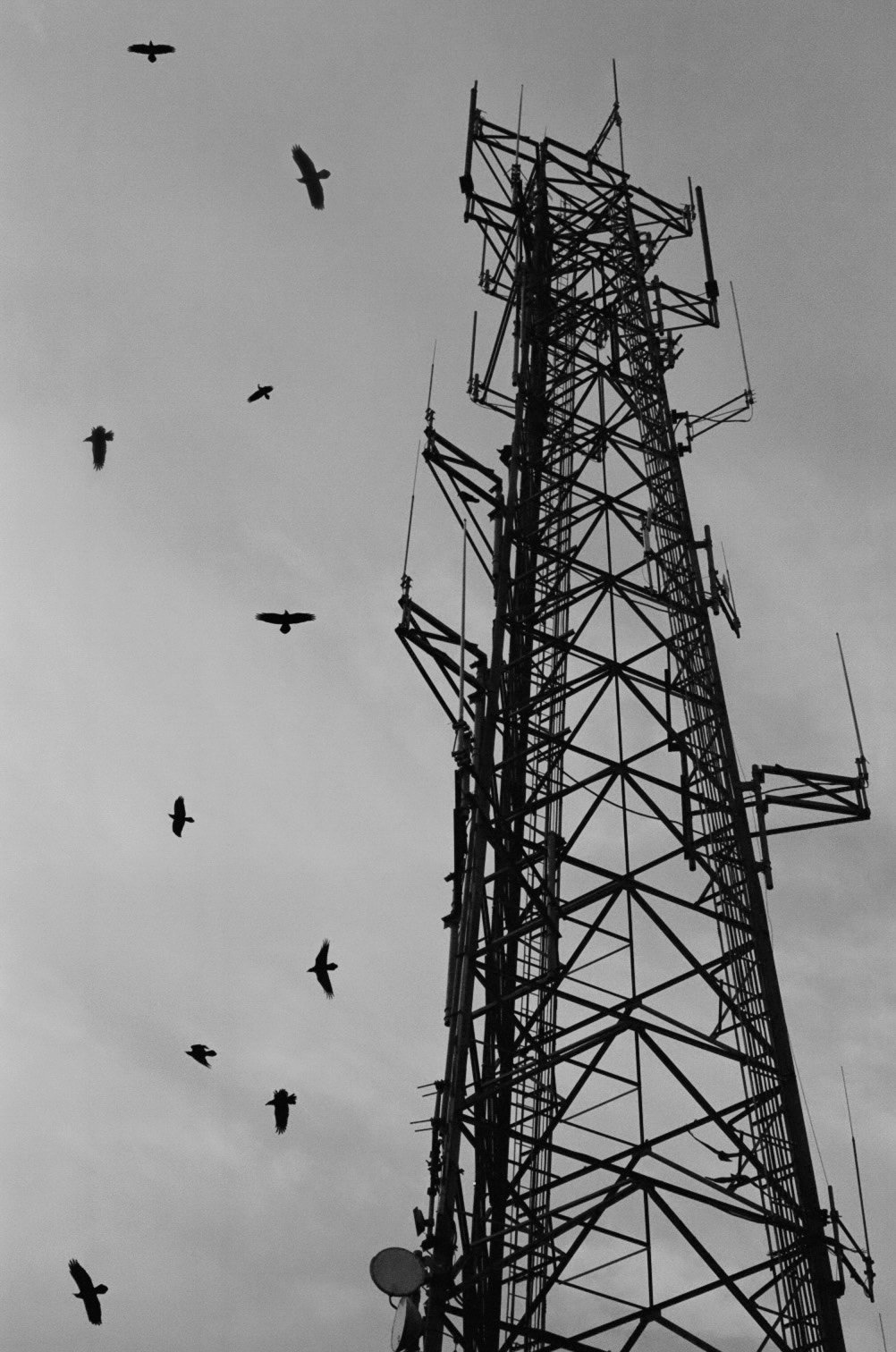 Scan31_edit2.jpg