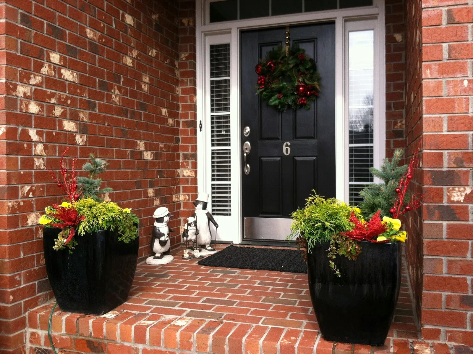WINTER, Yes, WINTER Container Gardens!