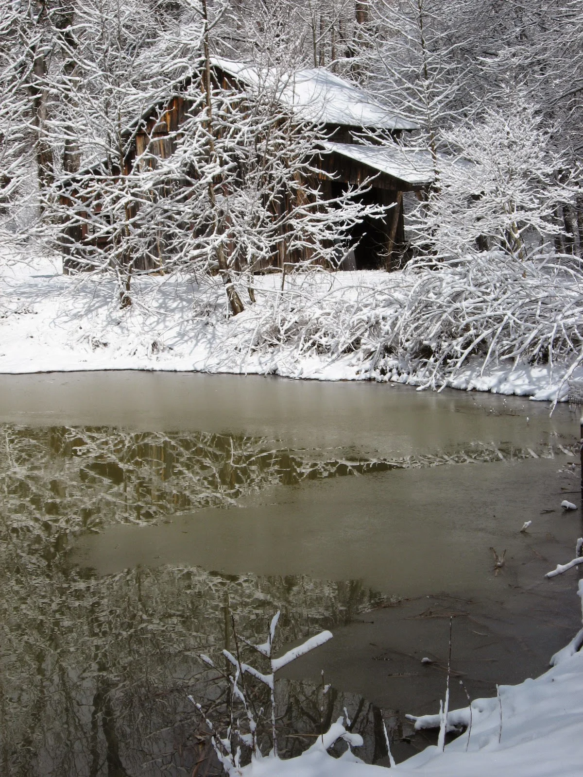 Winter Scenes