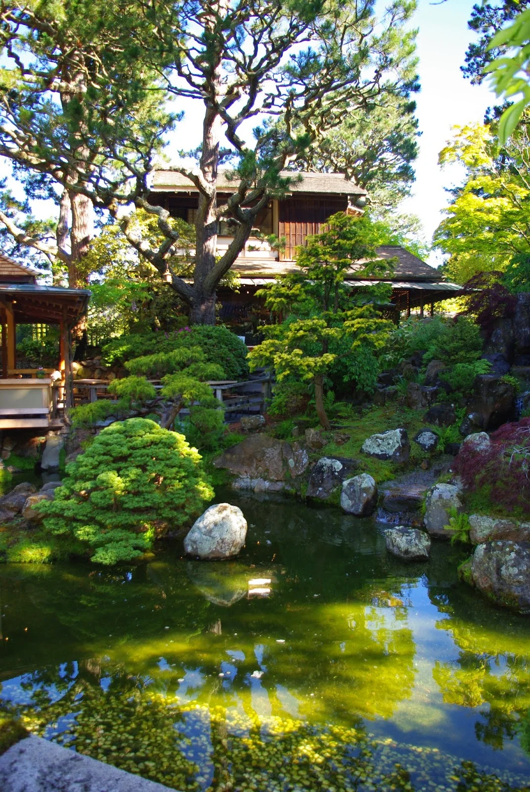 Japanese Gardens for INSPIRATION!