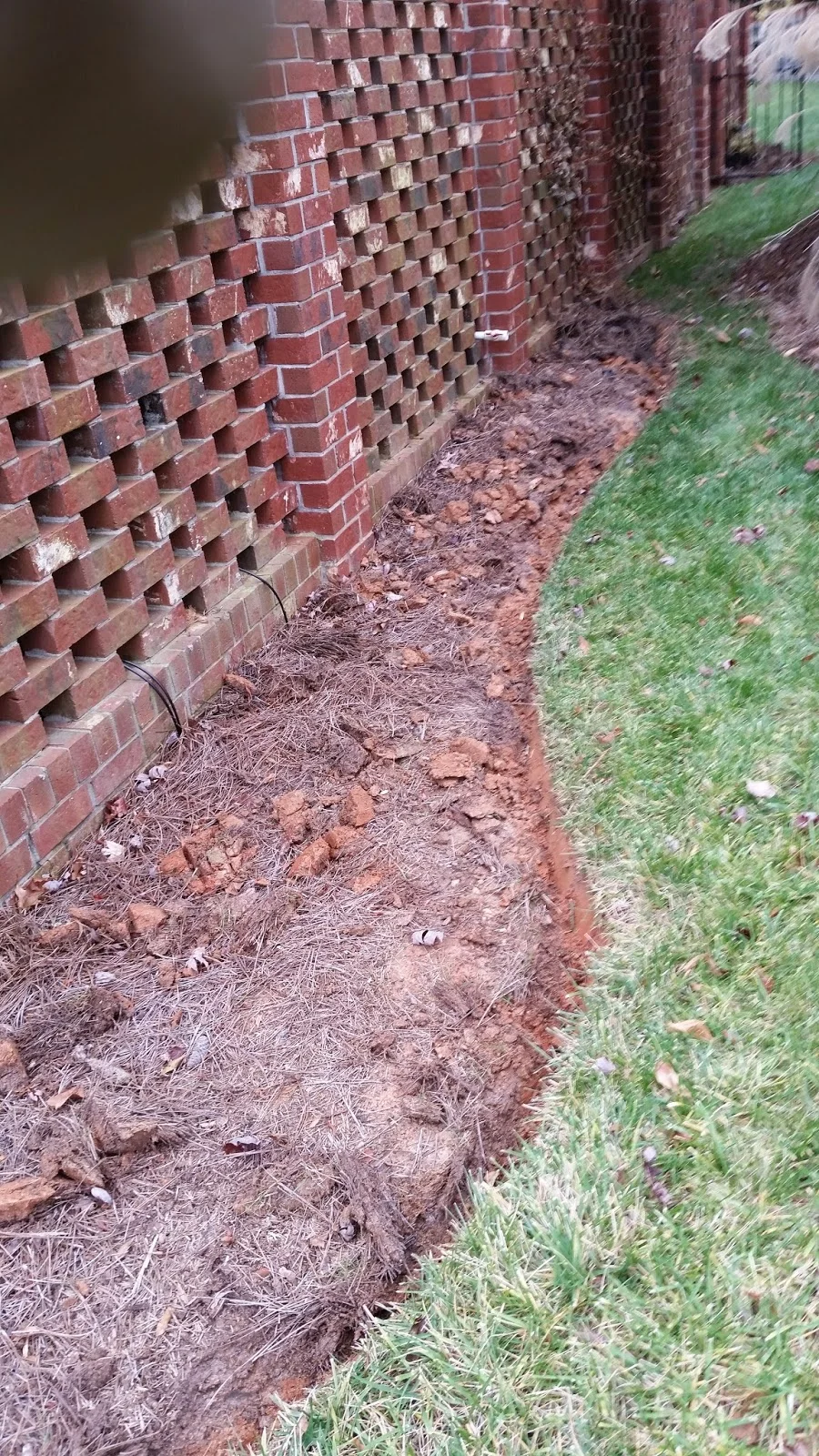 Winter 'TO DO' List- How to properly prepare a new garden.