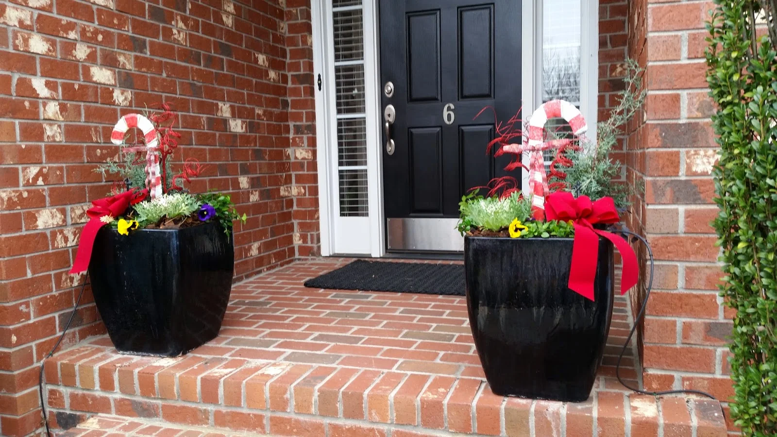 DIY- How to Create a Container Garden