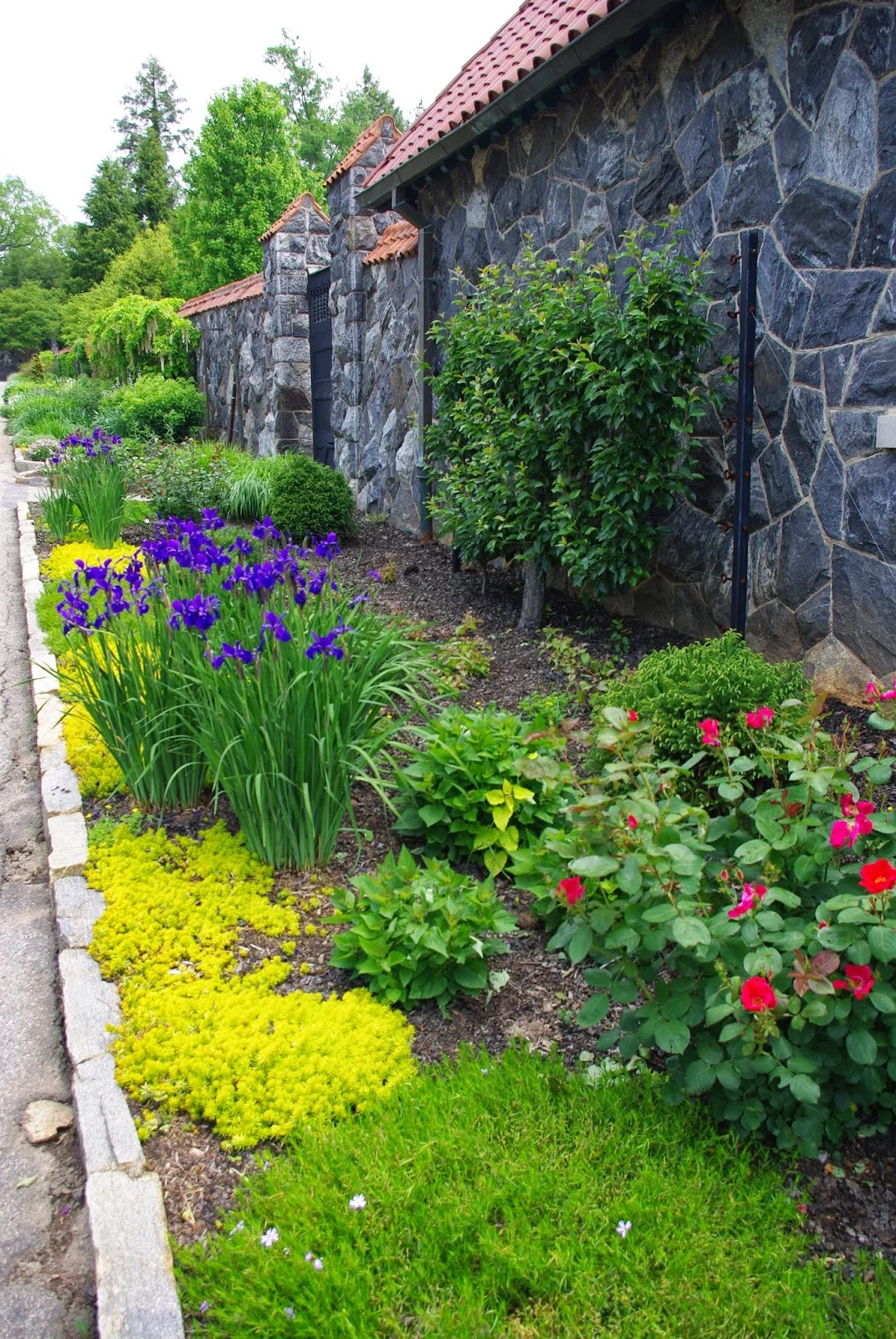 Biltmore Estate and The FESTIVAL Of FLOWERS!