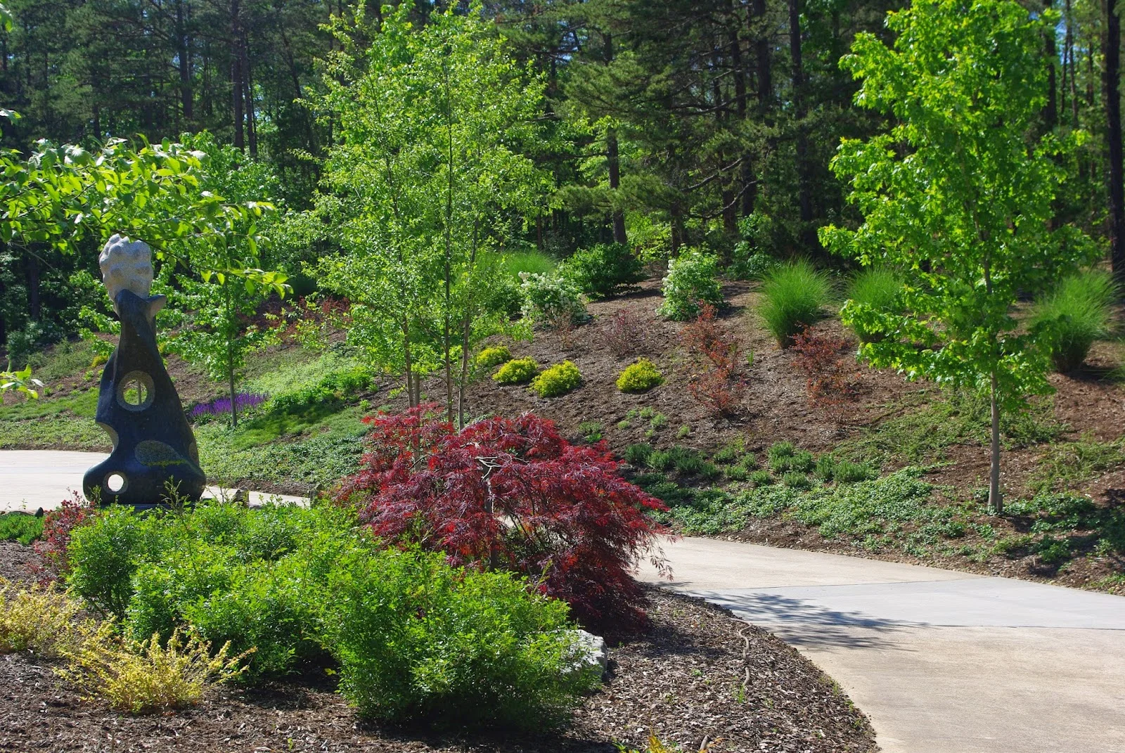 8 Best Websites on Trees, Shrubs and Perennials for Southern Gardens