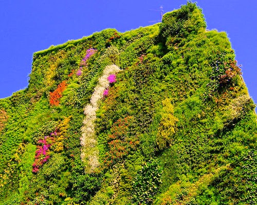 photo credit: shumpei_sano_exp9 via photopin cc