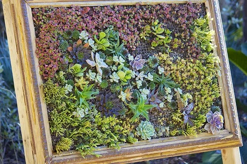 Awesome Vertical Gardens!
