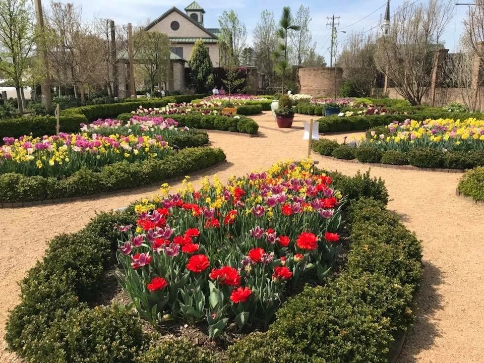 Spring Is Here – Finally! Spring Plants Blog Series: Part 1 – Spring ...