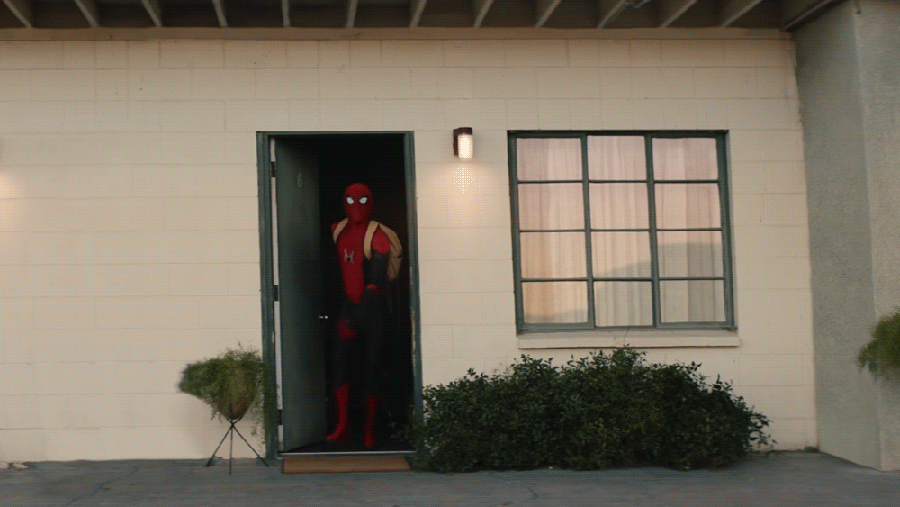 Spider-Man: Only Way Home