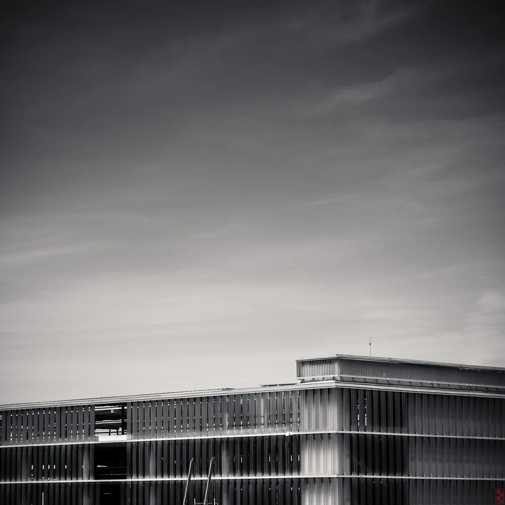 _DSF4651.jpg