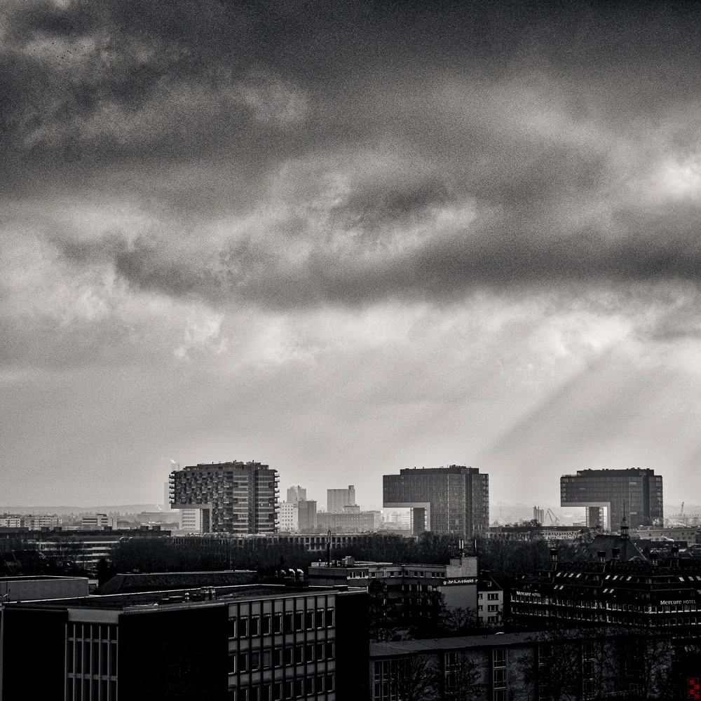 A vast landscape of colossi