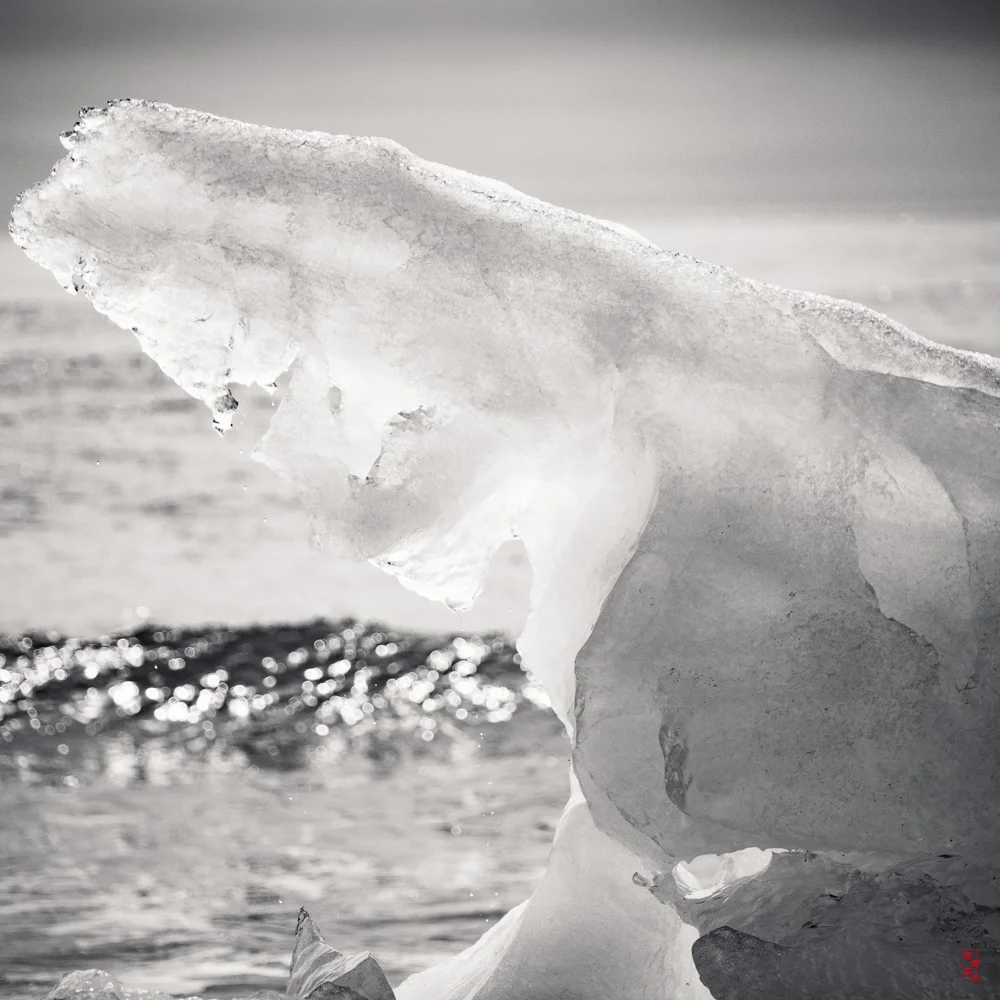 Icy beach