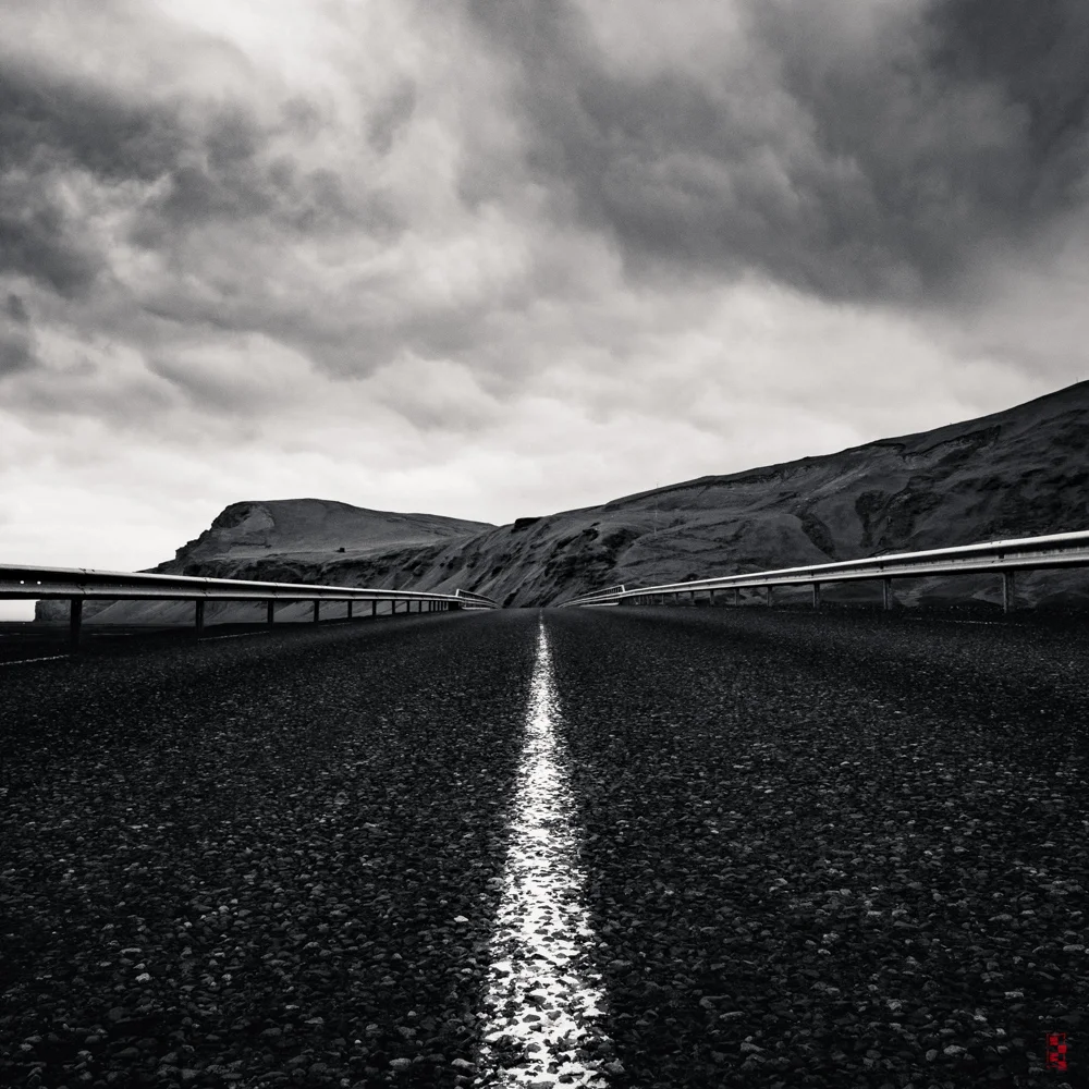 Roadkill perspective.