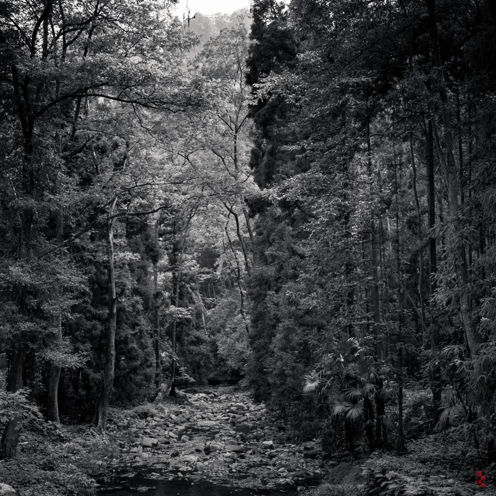 Zhangjiajie, Hunan