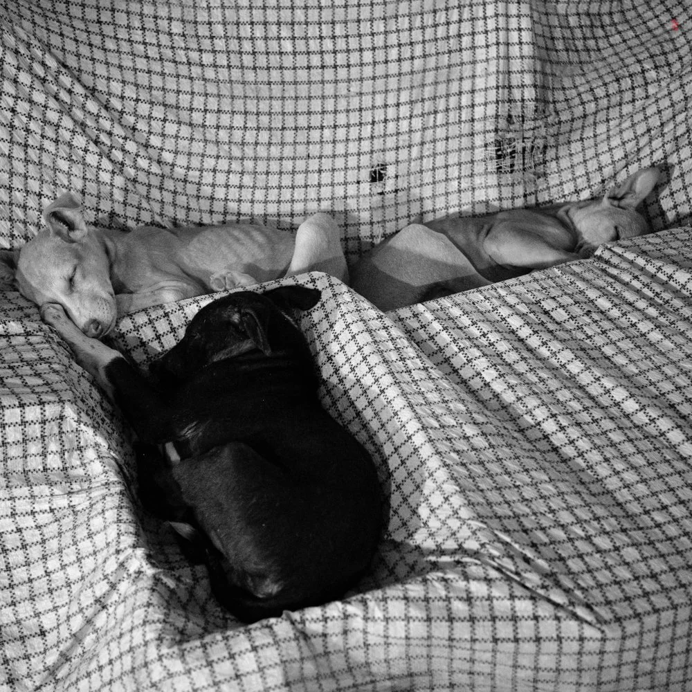  Kedar Ghat, Varanasi, India 