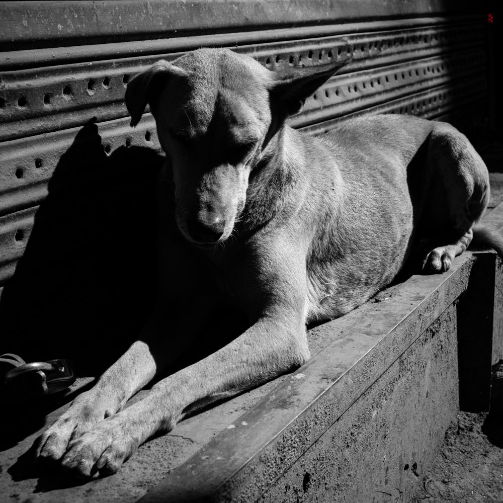 Chandini Chowk, New Delhi, India 