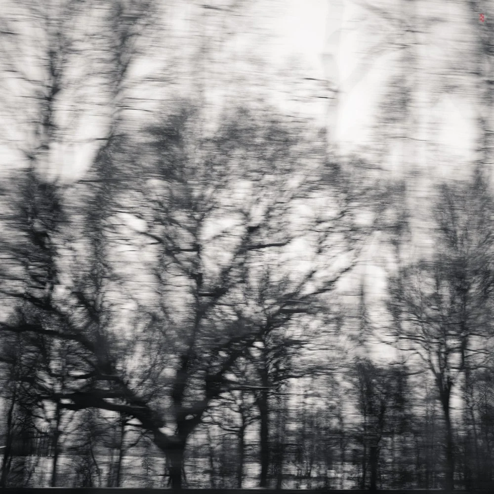  On the train from Dusseldorf to Amsterdam. 