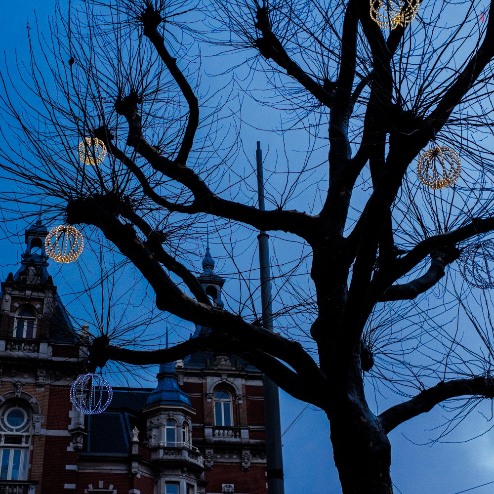  Christmas lights, Amsterdam. 