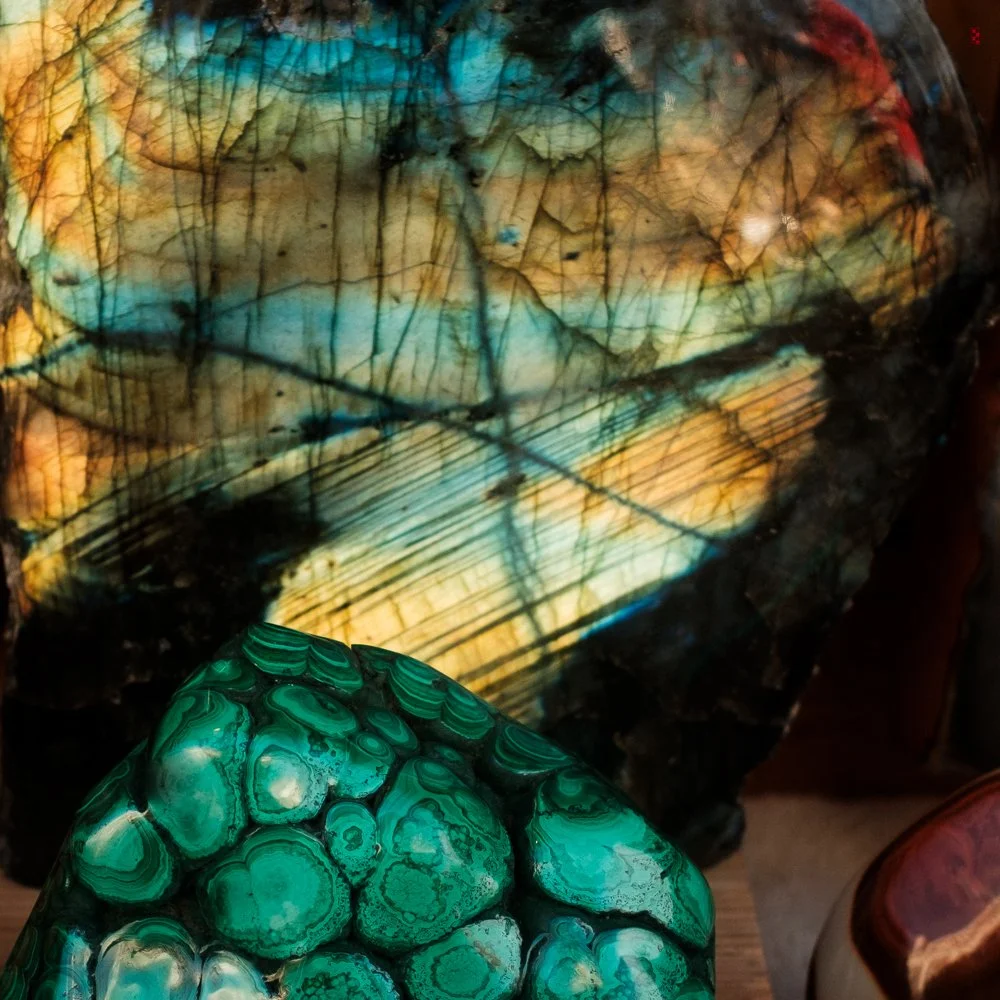  Treasures of the Earth, Amsterdam. 