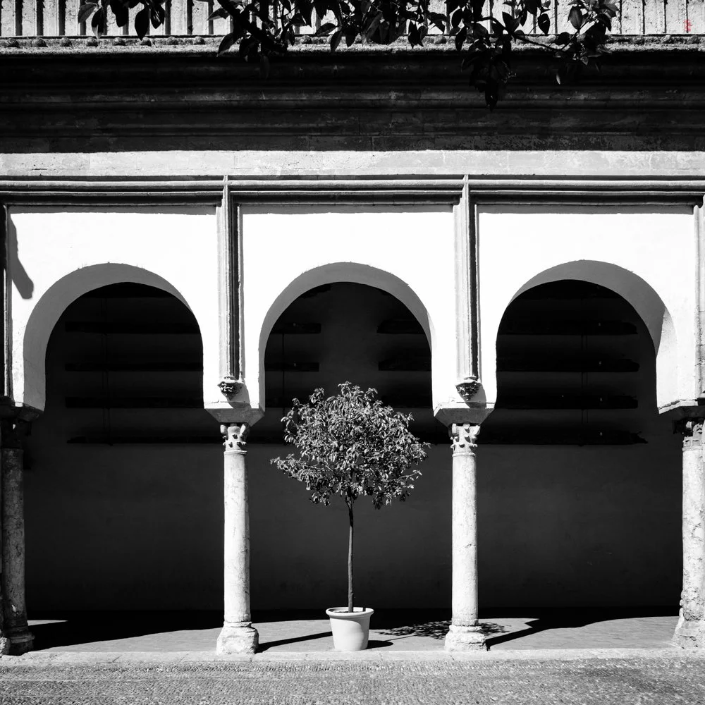 Mosque-Cathedral of Córdoba, Cordoba, Spain. 