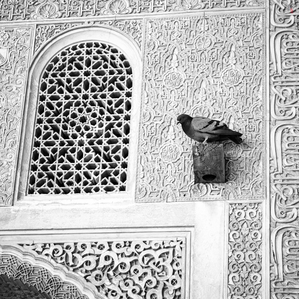  Alhambra, Granada, Spain. 