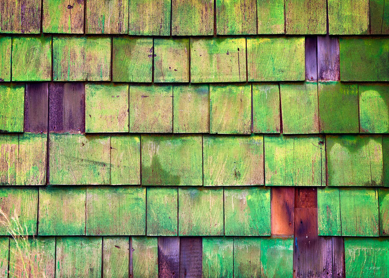 Green Shingles Hale