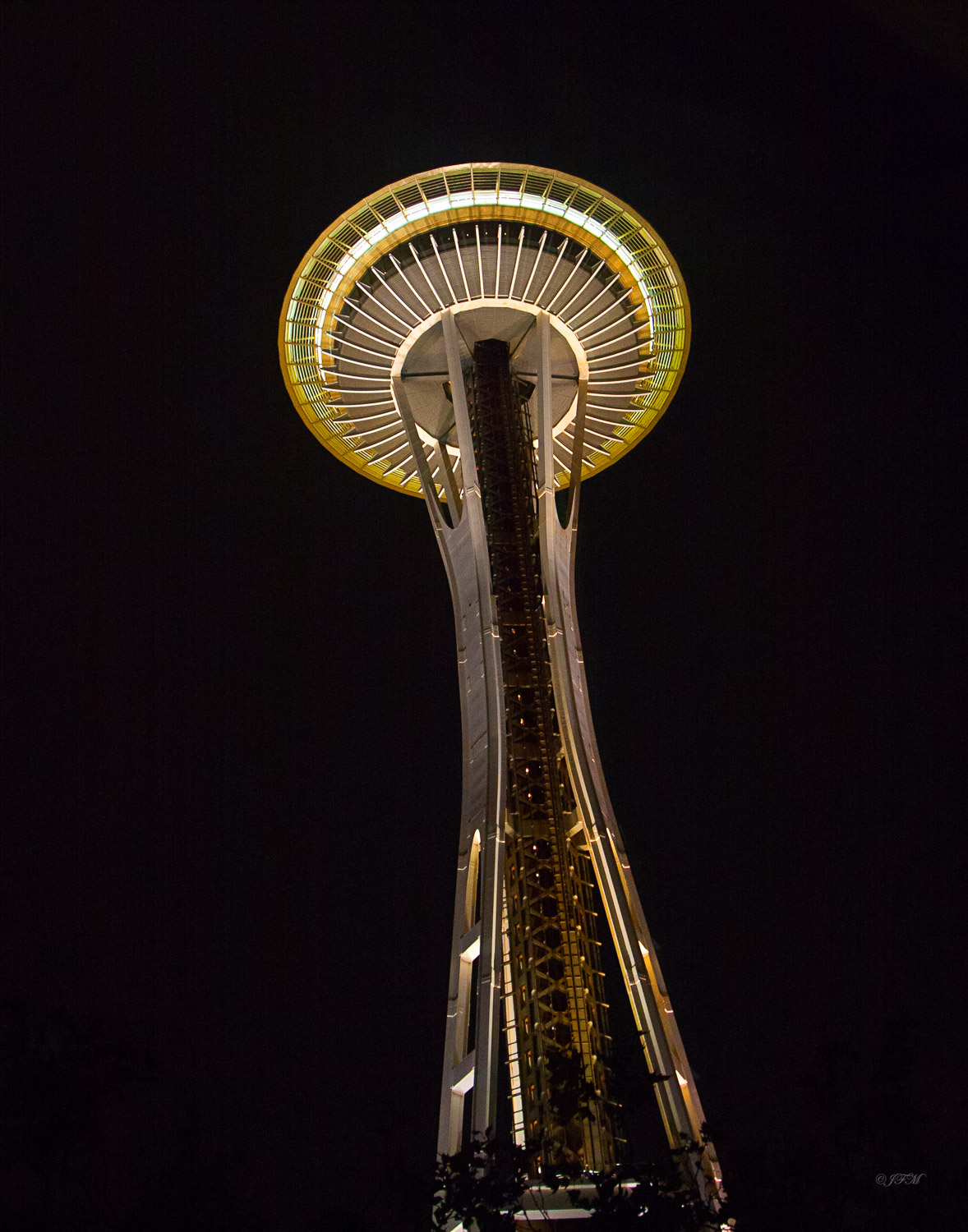 Space Needle #2