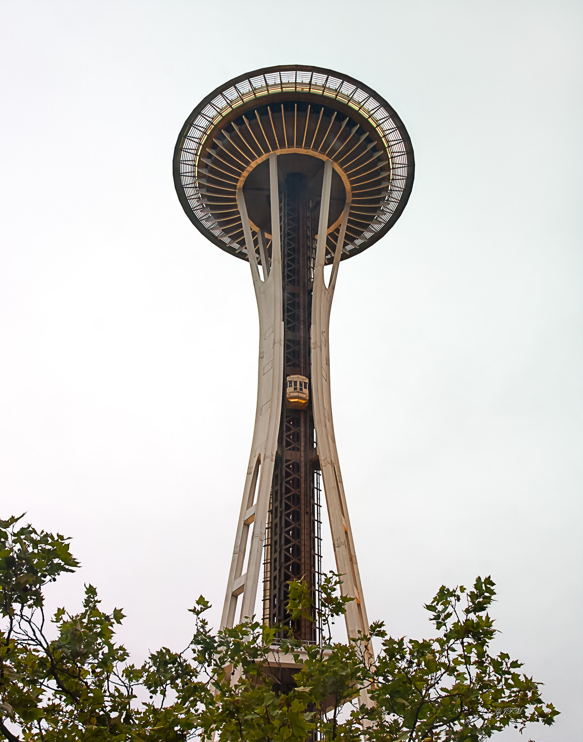Space Needle #3