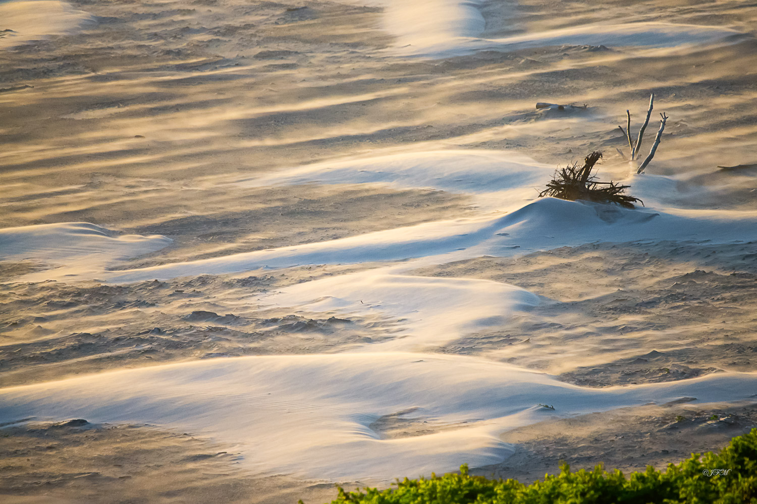 Oregon Sand Dunes