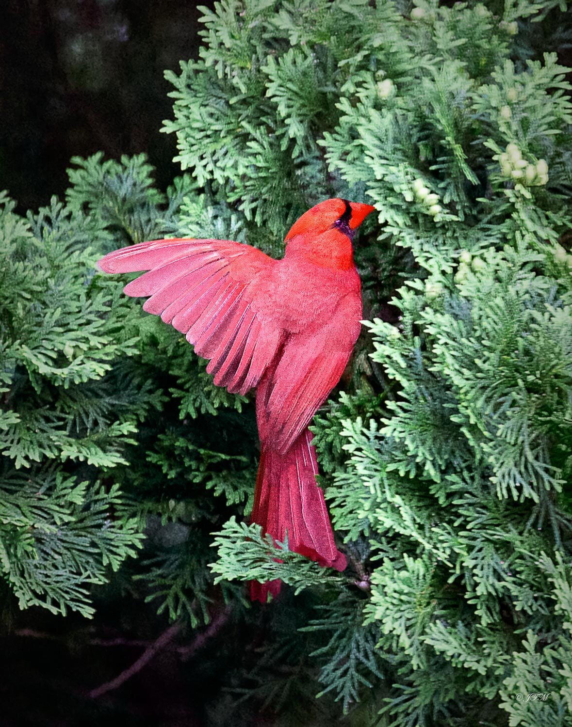 Take Flight #2