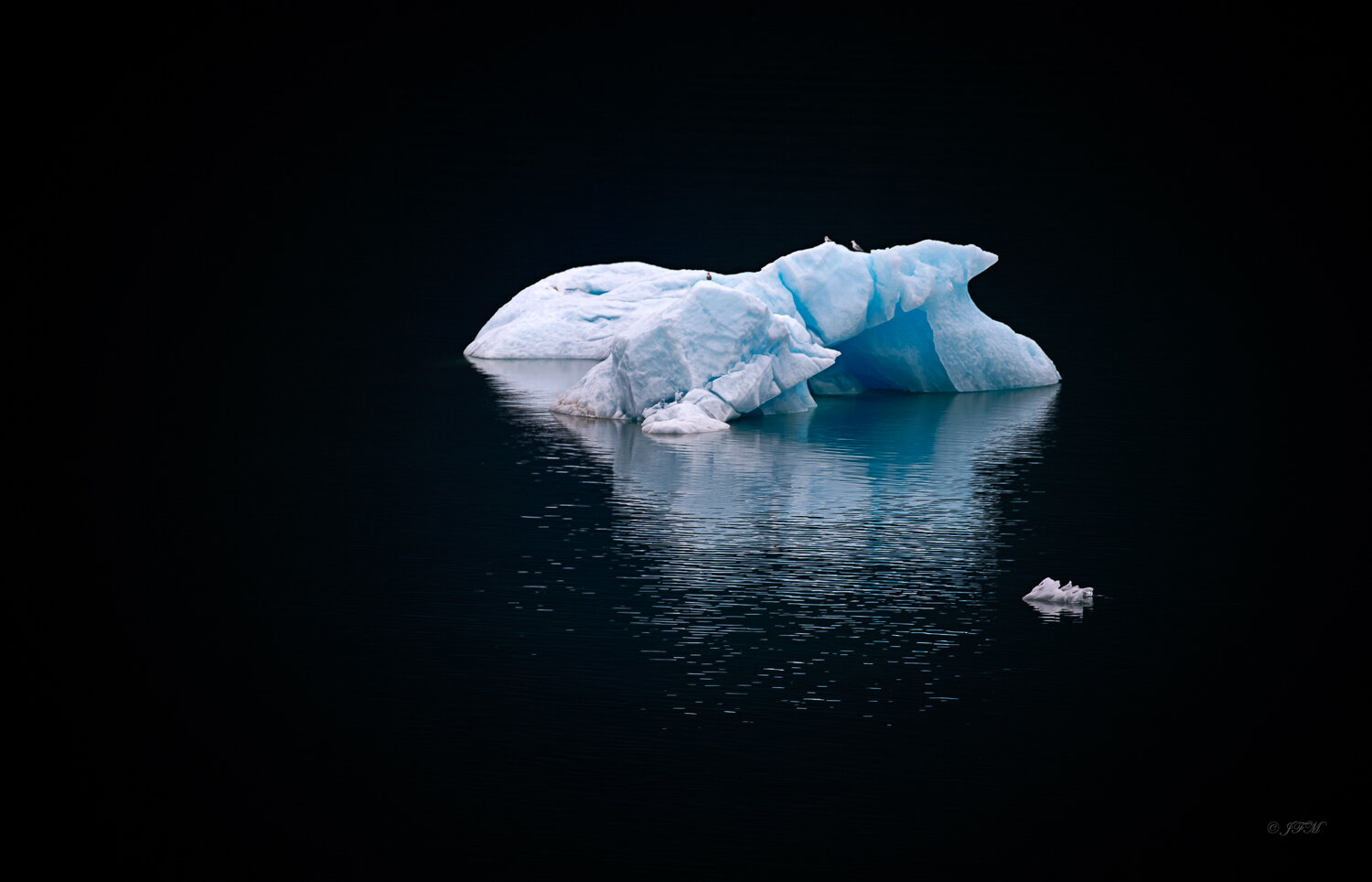 Mendenhall Glacier Ice Growler