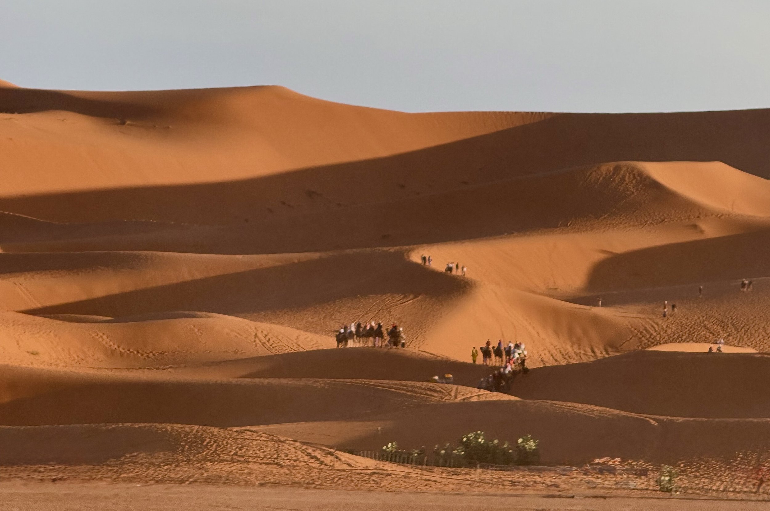 Erg Chebbi Sand Sea Dunes