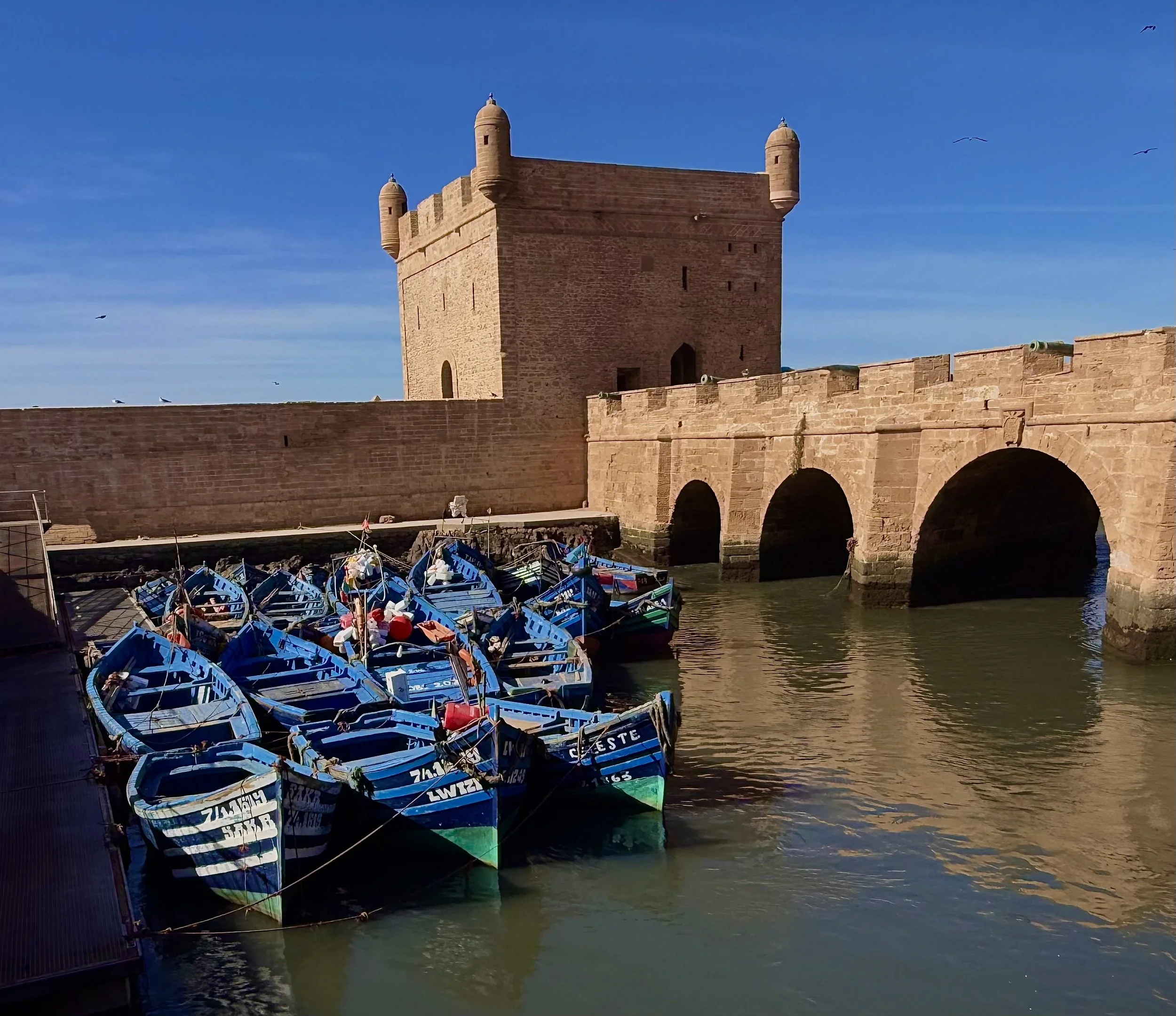 Essaouira Blue Boats 