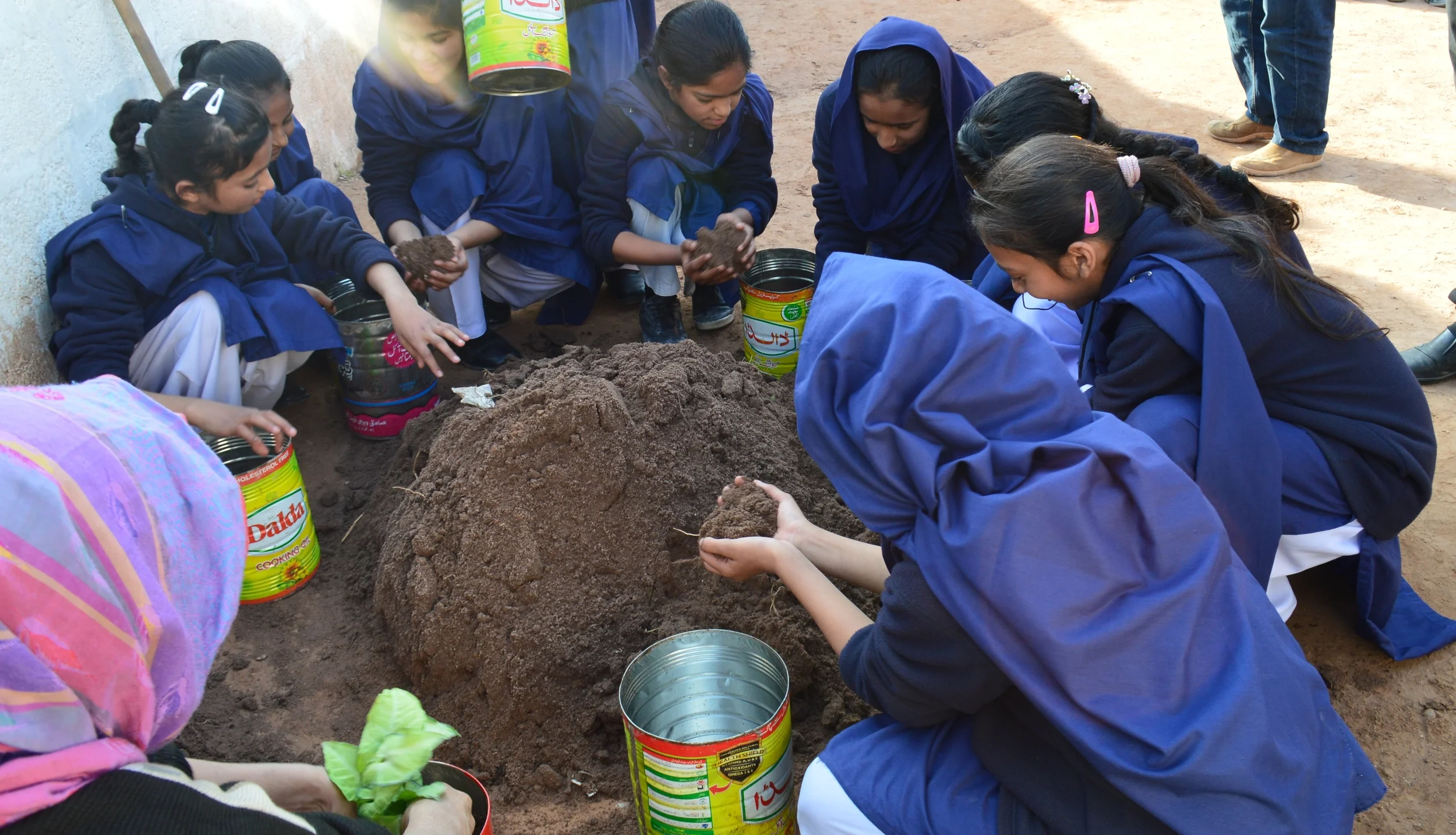 Participating in tree plantation at Iqra University