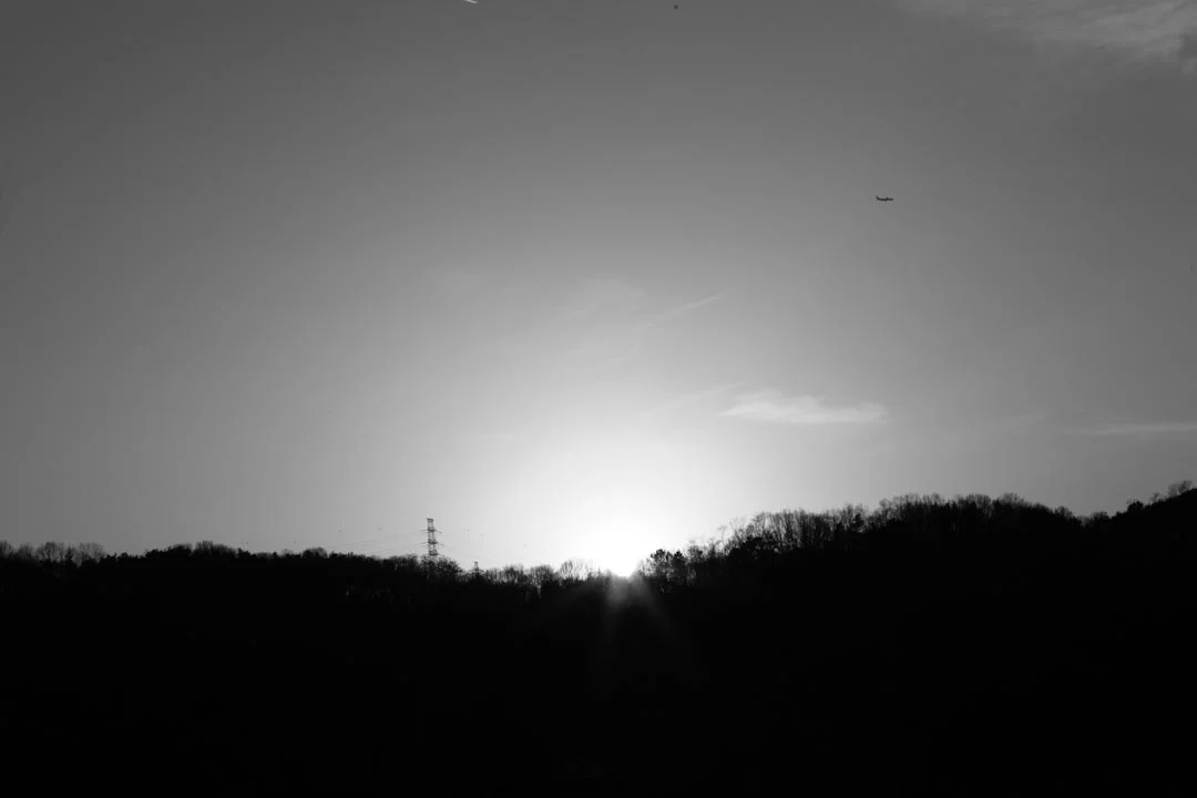 sunsetplanebw.jpg