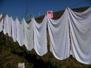 259.jpg