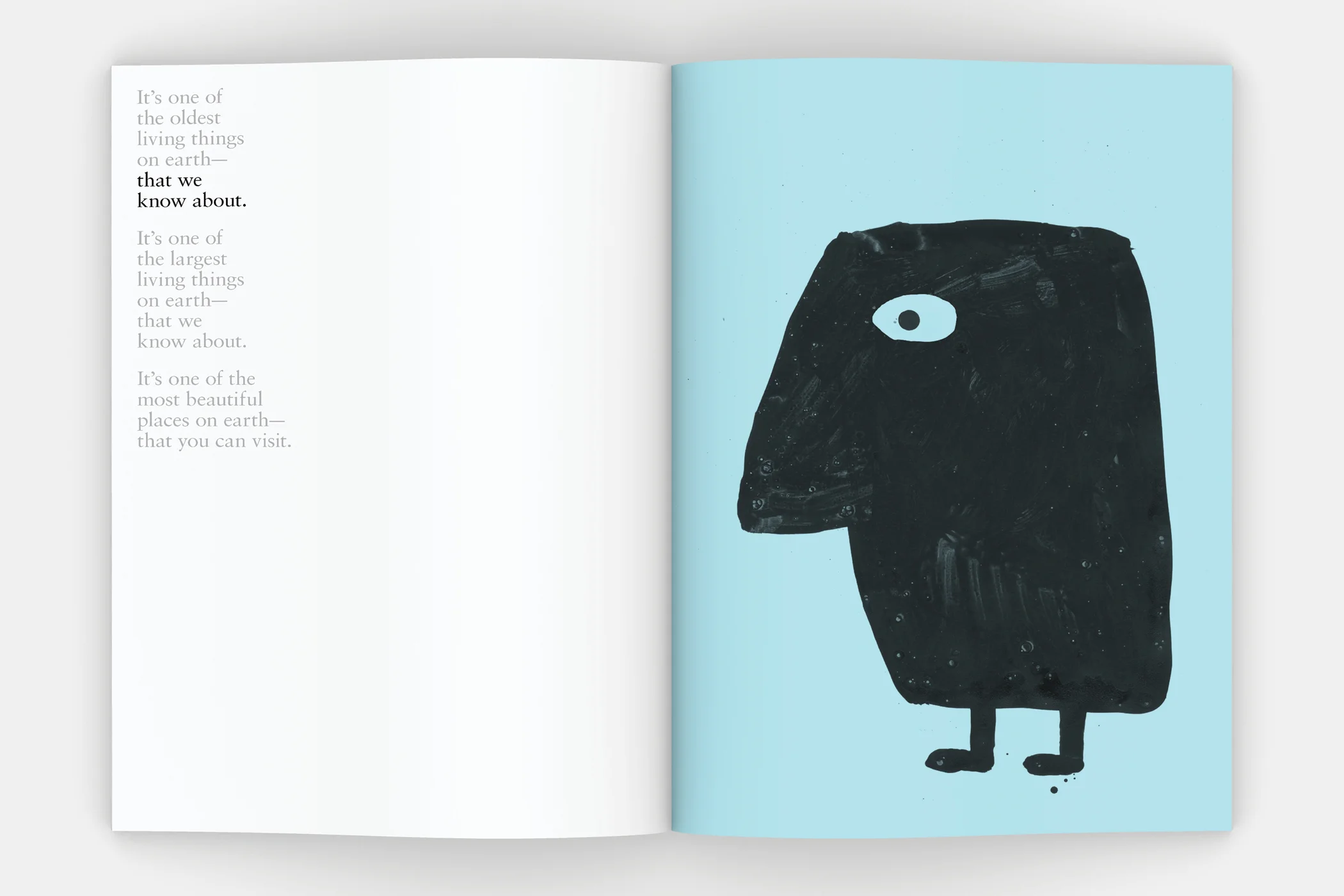 SquareSpace_Why_Pando_Matters3.jpg