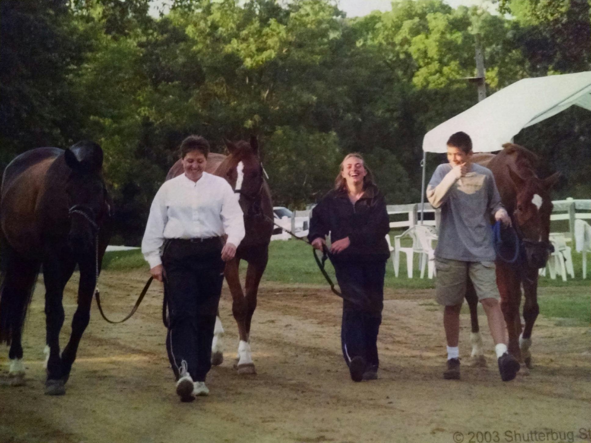 dressage barn south east michigan