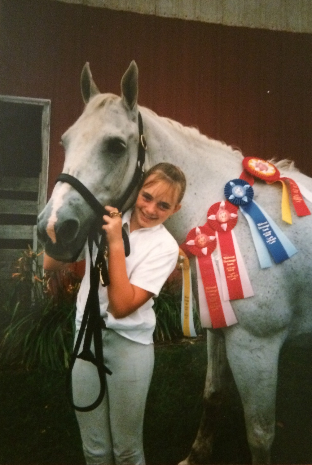 equestrian barn south east michigan