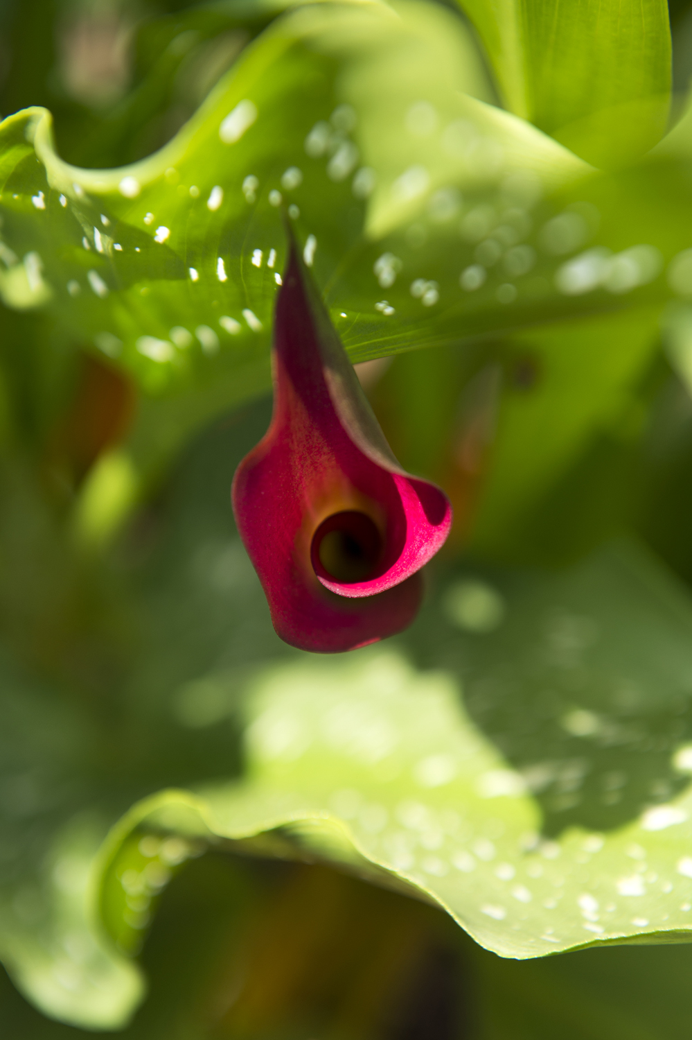 14 0709_0402.JPG