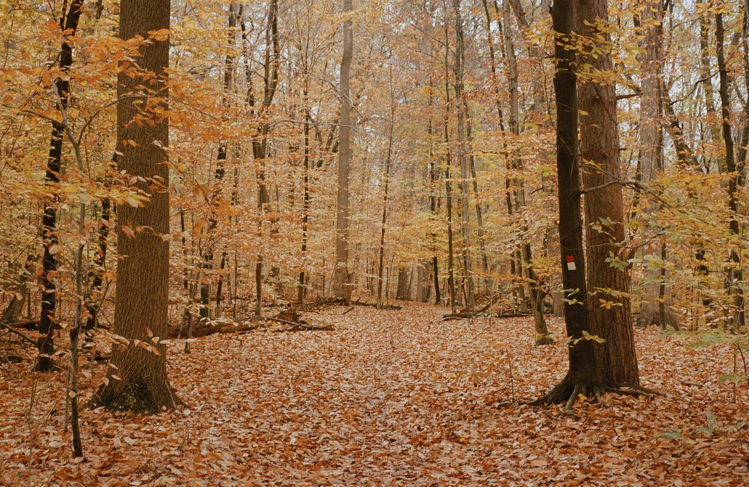untitled-2-2.jpg