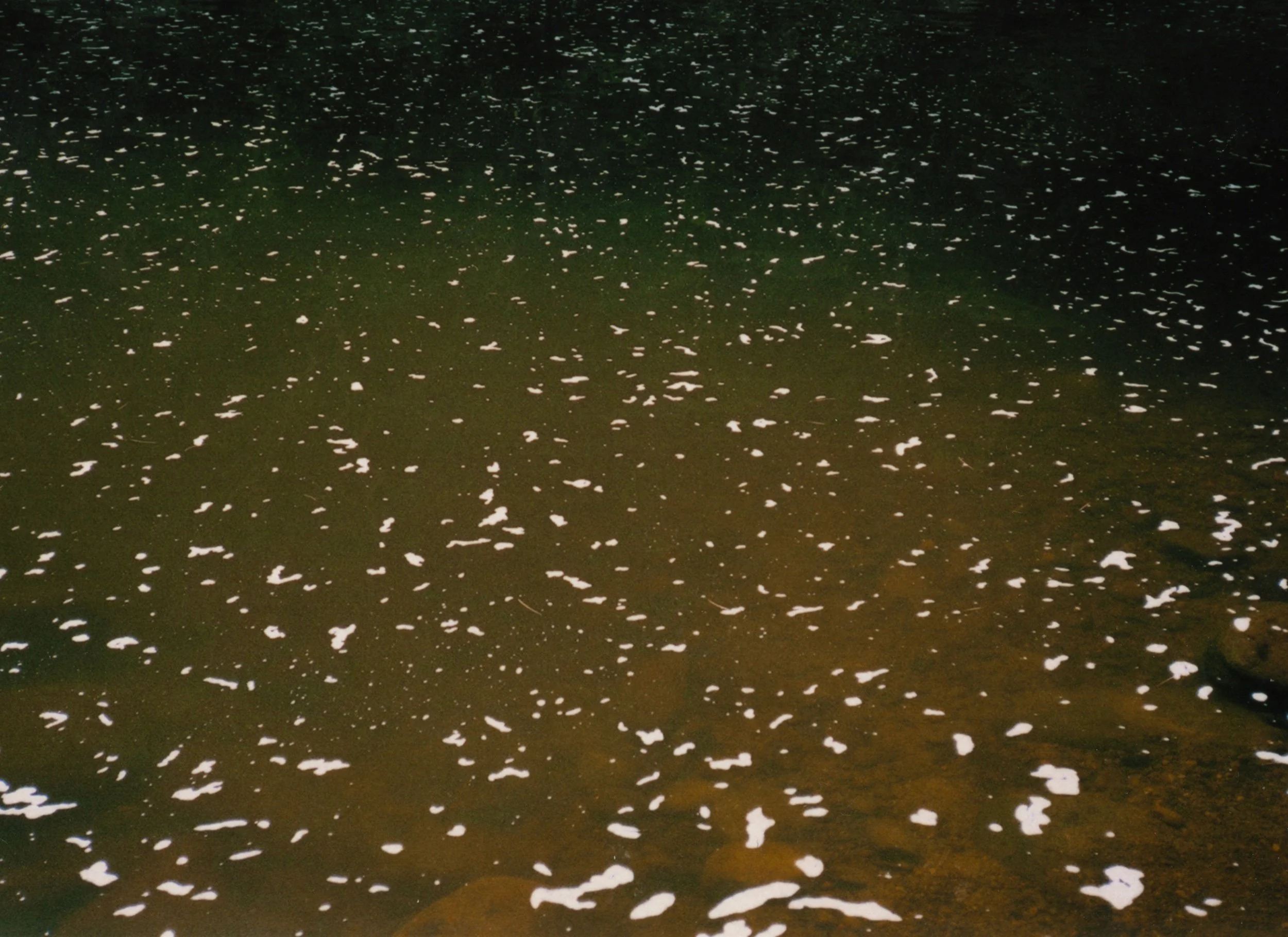 riverfoam042.jpeg