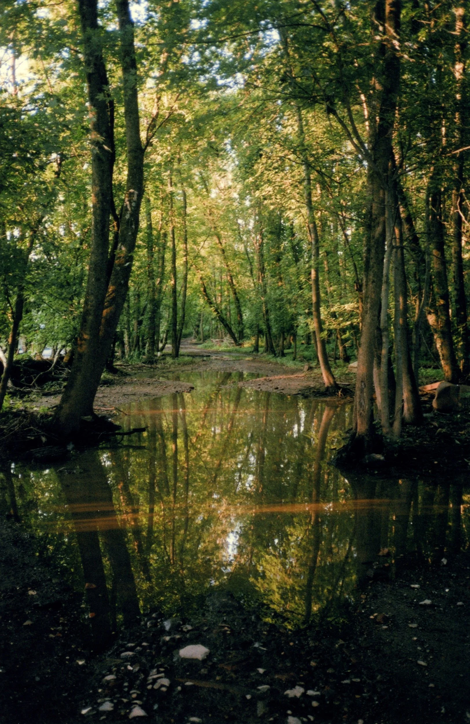 floodedroad038.jpeg